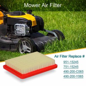 Emmawin 2 Pack 951-15245 Air Filter for Cub Cadet MTD 159cc 196cc Engine Lawn Mower, Replace Air Filter 751-15245