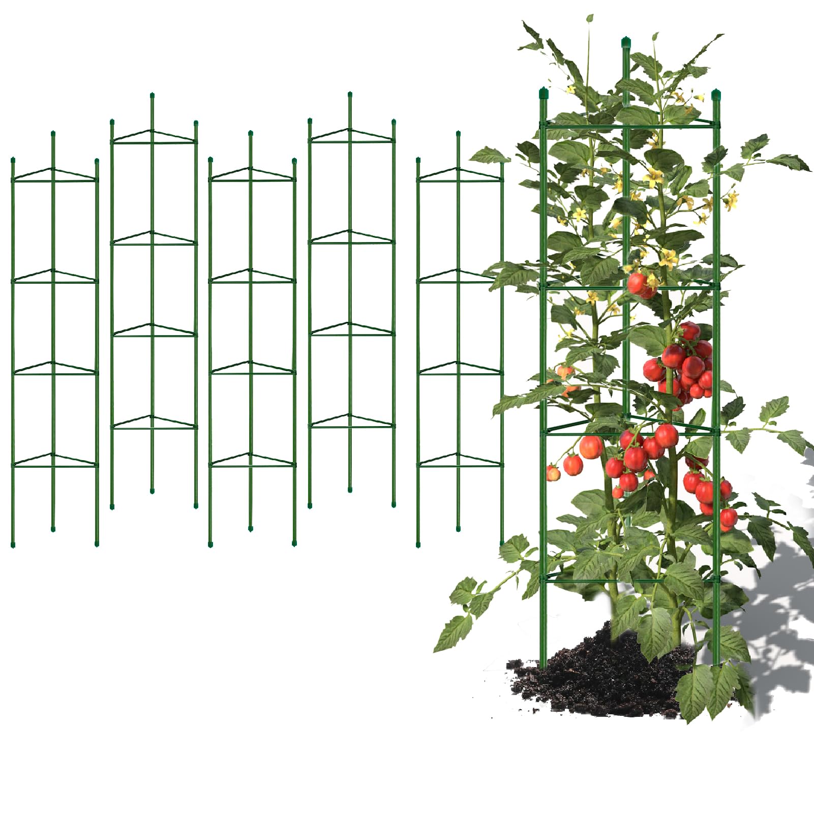 5ft 6-Pack Tomato Cage Support Green Garden Plant Sticks/Stakes for Climbing Plants, Vegetables, Fruit, Flowers