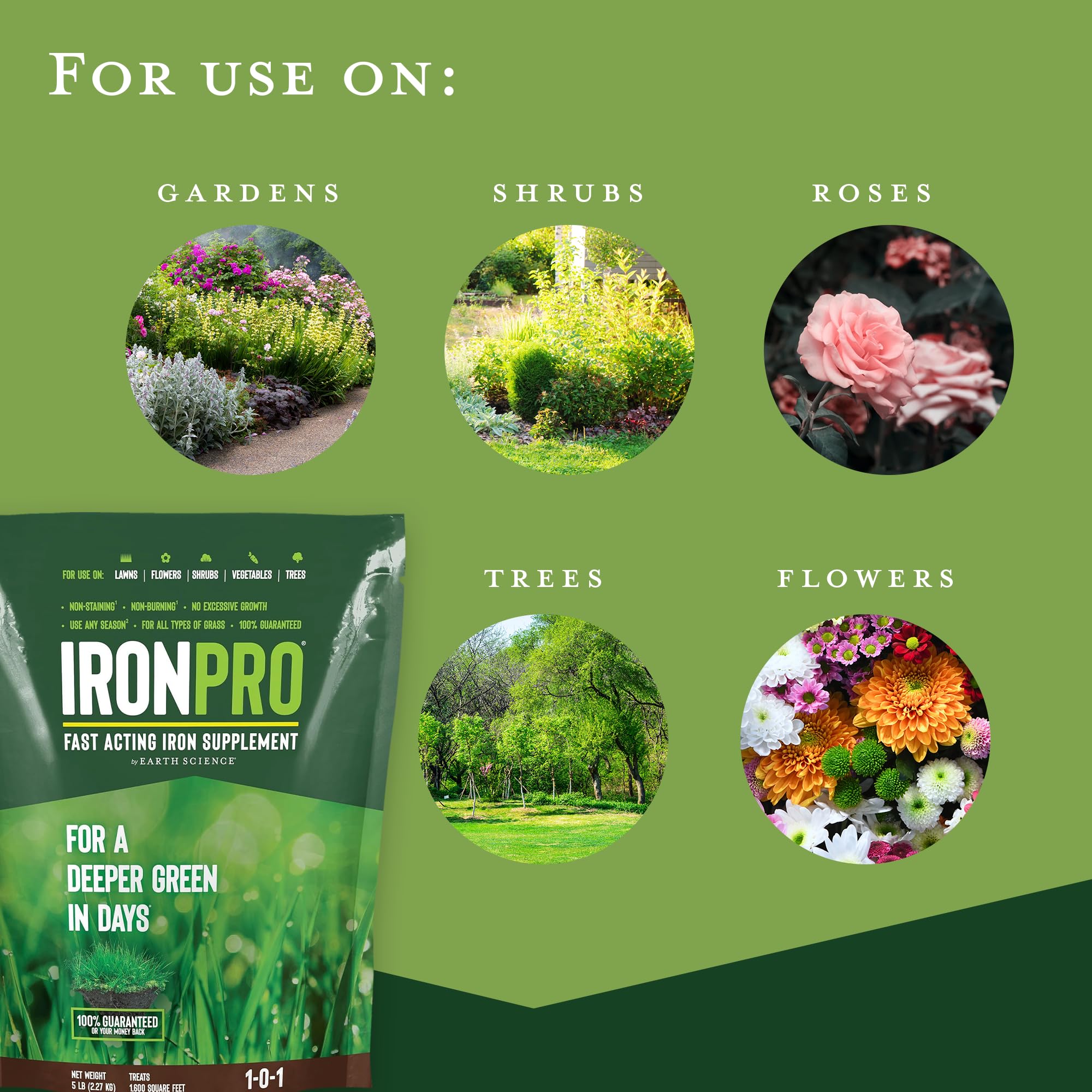 Iron Pro Fast Acting Supplement 5lb Earth Science – Iron Pro Fast Acting Iron Supplement for Use on Lawns, Flowers, and Vegetables with All Soil Types – Easy Application – Covers up to 1k Square Feet