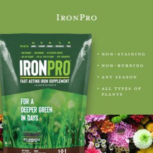 Iron Pro Fast Acting Supplement 5lb Earth Science – Iron Pro Fast Acting Iron Supplement for Use on Lawns, Flowers, and Vegetables with All Soil Types – Easy Application – Covers up to 1k Square Feet