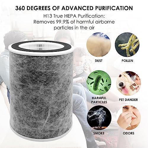 Flintar True HEPA Replacement Filter, Made in TAIWAN, Compatible with Shark Air Purifier Max Models HP201, HP202, UA205, AP1000, HC501, HC502, Compares to Part # HE2FKBAS and HE2FKBASMB, 1-Pack