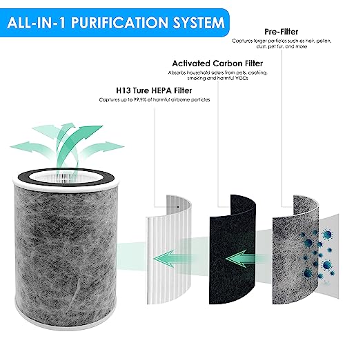 Flintar True HEPA Replacement Filter, Made in TAIWAN, Compatible with Shark Air Purifier Max Models HP201, HP202, UA205, AP1000, HC501, HC502, Compares to Part # HE2FKBAS and HE2FKBASMB, 1-Pack