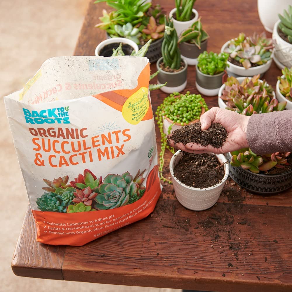 Back to the Roots 100% Organic Succulent & Cacti Mix (6 Quart) | Made in The USA | Premium Nutrition for Indoor and Outdoor Plants