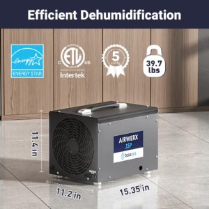 BaseAire Crawl Space/Basement Dehumidifier,70 Pint Commercial Dehumidifiers with Pump Hose,Up to 1000 Sq Ft, Compact, Auto Defrost, Energy Star, GLGR Technology