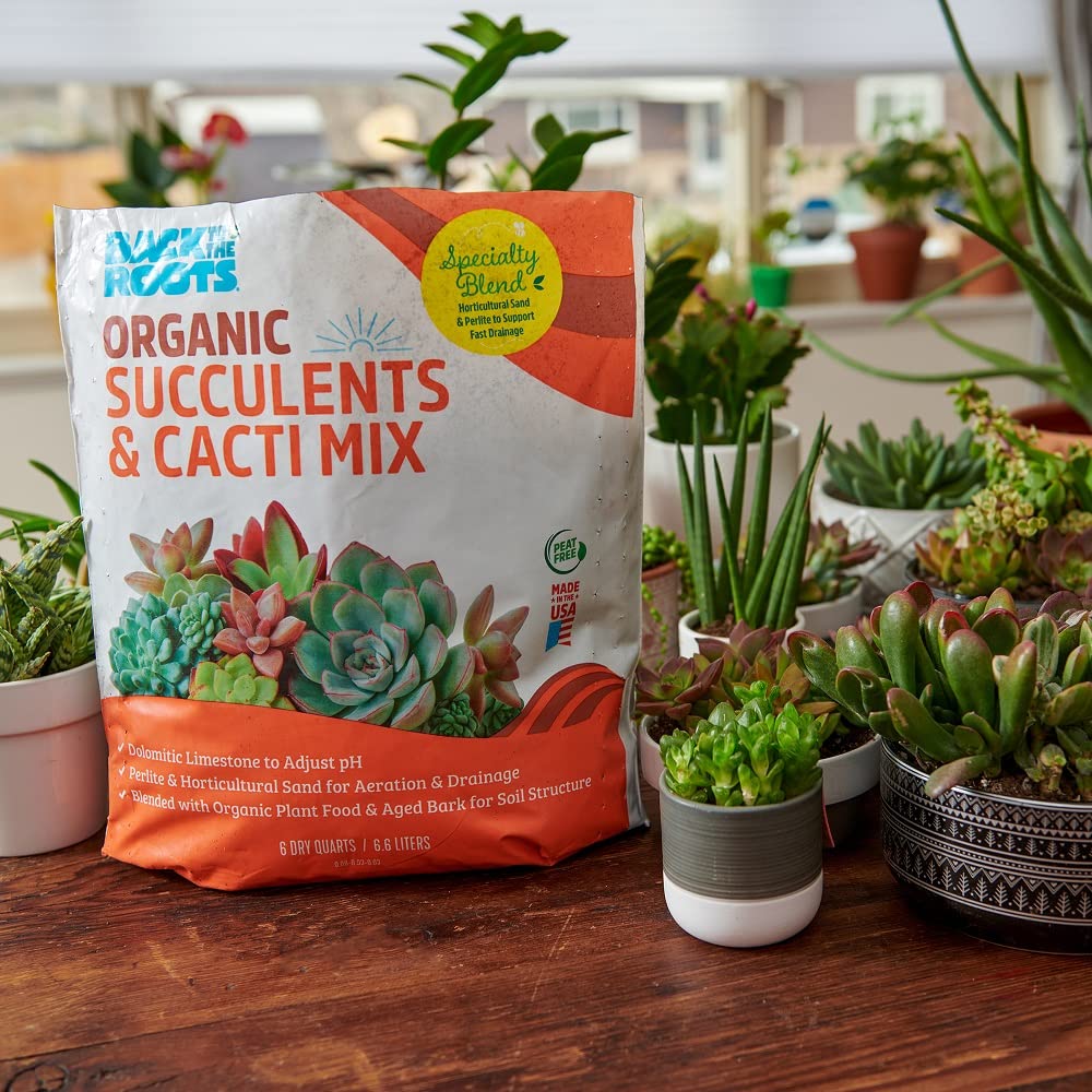 Back to the Roots 100% Organic Succulent & Cacti Mix (6 Quart) | Made in The USA | Premium Nutrition for Indoor and Outdoor Plants