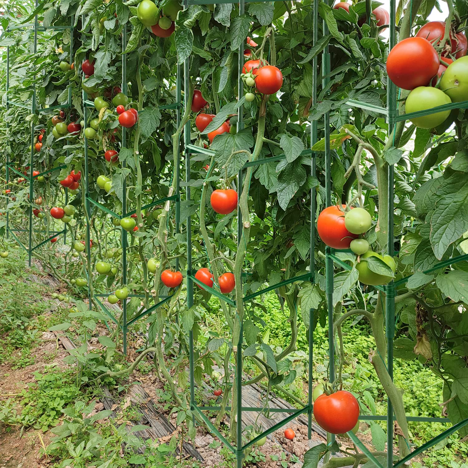 Doksving 3 Packs Tomato Cage 4ft Plant Support Garden Stake,Tomato Garden Cages for Plants, Vegetables, and Climbing Vines with Twist Tie