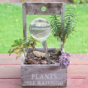 Plant Self Watering Stakes, 10pcs Clear Plant Self-Watering Bulbs, Flower Plant Automatic Watering Device, Self Watering Planter Insert Garden Waterer for Plant Indoor Outdoor Flower