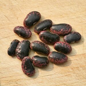 Gaea's Blessing Seeds - Scarlet Runner Bean Seeds - Non-GMO Seeds for Planting with Easy to Follow Instructions 94% Germination Rate