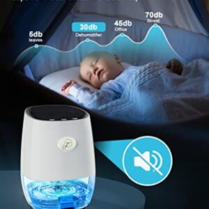 Dehumidifiers:Portable Dehumidifier for Home, Bedroom, Bathroom 35OZ Small Dehumidifiers Mini dehumidifier with Auto Shut-off, 7 Colors Night Lights, Ultra Quiet for Closet RV Office