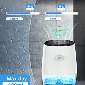 Dehumidifiers:Portable Dehumidifier for Home, Bedroom, Bathroom 35OZ Small Dehumidifiers Mini dehumidifier with Auto Shut-off, 7 Colors Night Lights, Ultra Quiet for Closet RV Office