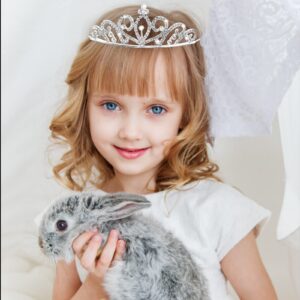 6 Pieces Princess Crowns for Little Girls Rhinestone Queen Crowns Bouquets Bling Tiara Headband Silver Hair Jewelry Accessories for Women Senior Birthday Wedding Prom Bridal Valentine Party Decor