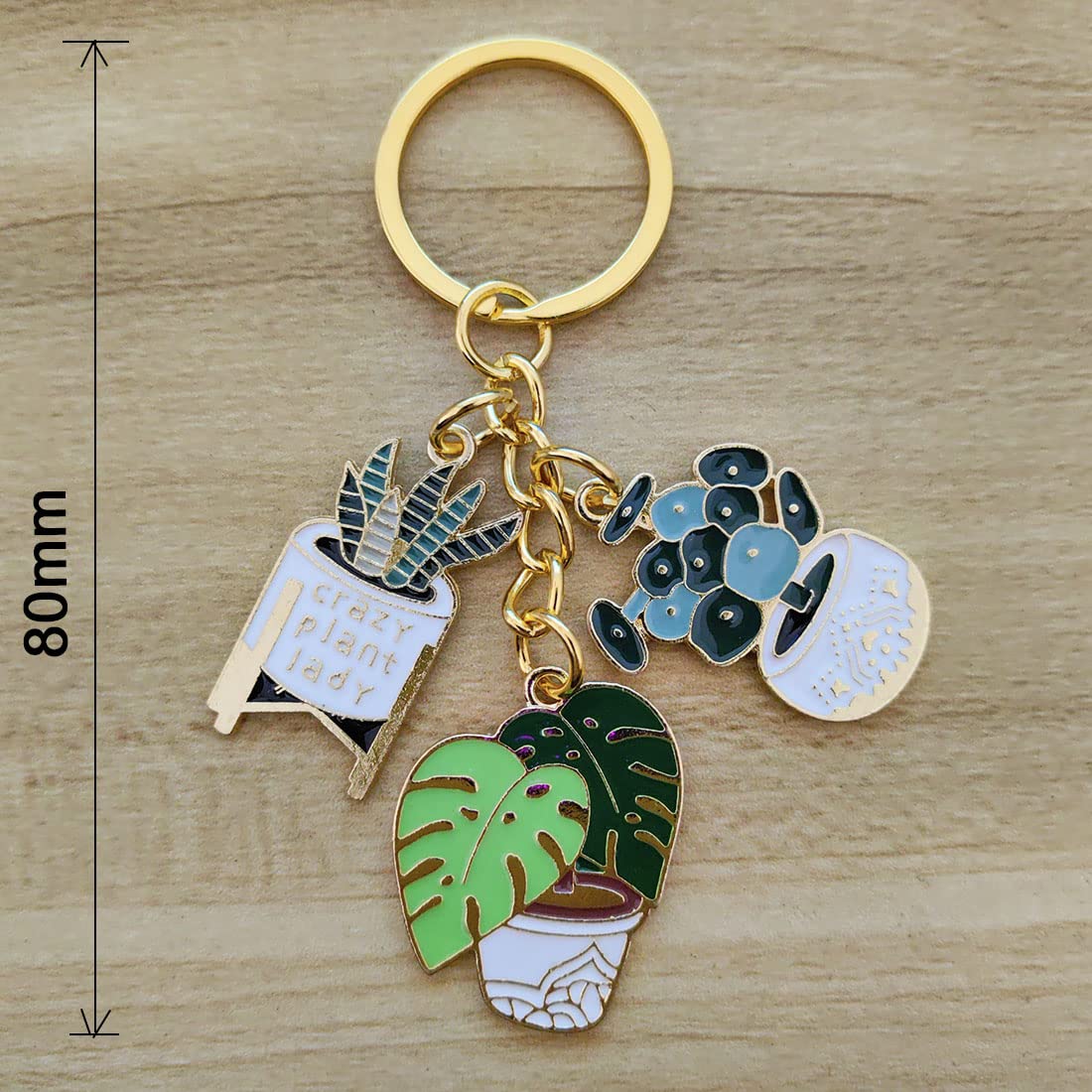 Meimimix Cute Fashion Keychain Ladies Succulent Potted Succulent Shaped Keychain Golden Car Keychain Jewelry for Friends