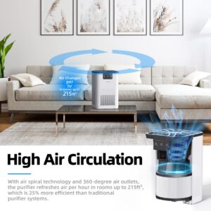 AROEVE Air Purifier with Three Filter(One Basic Version & Two Pet Dander Version)