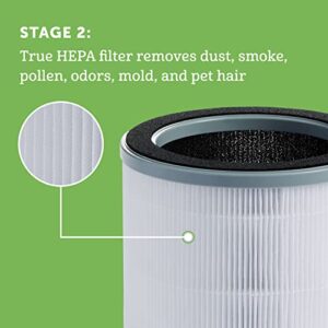 Holmes True HEPA Filter, White