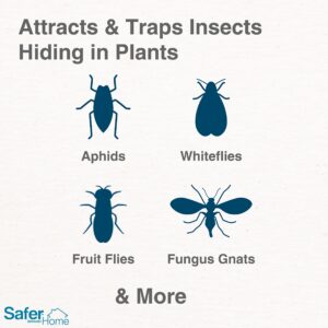 Safer Brand Home SH5026 Houseplant Sticky Stake Insect Traps for Indoor Plants - 16 Traps Included - Controls Aphids, Whiteflies, Fruit Flies, Fungus Gnats, and Other Insects