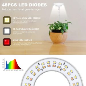 Kullsinss Grow Lights for Indoor Plants, Full Spectrum Halo Growing lamp with Detachable Base, Height Adjustable, 3 Colors, 10 Dimming, Automatic Timer, Plant Light for Succulents Small Plants