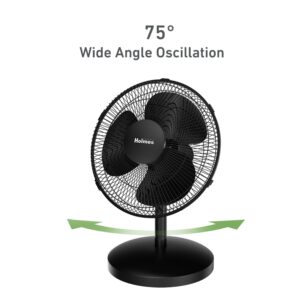 HOLMES 12" Table Fan, 75° Oscillation, 3 Speeds, 15° Adjustable Head Tilt, Ideal for Home, Bedroom or Office, Black