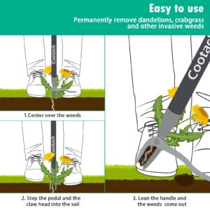 Cootack 52'' Weed Puller with Long Handle Stand-up Hand Weeder Manual Weeding Tool with Stainless Steel Claw for Garden/Yard/Lawn, Weed Remove Without Bending or Kneeling