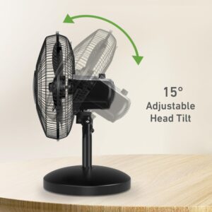 HOLMES 12" Table Fan, 75° Oscillation, 3 Speeds, 15° Adjustable Head Tilt, Ideal for Home, Bedroom or Office, Black