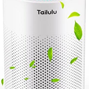 Tailulu Air Purifiers for Home Pets Large Room Up to 1722ft², H13 True HEPA Air Purifier for Bedroom, with Night Light, Sleep Mode, 4 Speed for Allergies Dust Smoke Pollen Pet Dander Hair Smell Odor