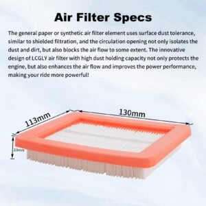 LCGLY 2 PCS 17211-Z8B-901 Air Filter Compatible with Honda HRX217 HRR216 HRC216 HRT216 HU800AWD HRB216 HRB217 HRS216 HRZ216 GCV160LAO GCV190LA GC190LA GCV200LA HRN216 series lawn mower EB2800I EG2800I