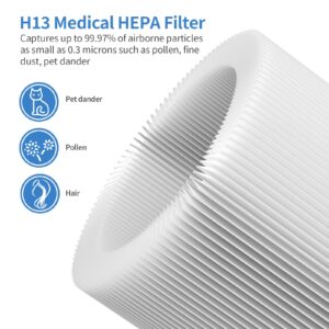 XBWW H13 True HEPA Replacement Filter Compatible with Tenergy Renair, Cool-Living CL-6070A, Beaba, Tredy TD-1300 HEPA Air Filter Purifer for Home Large Room