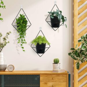 Koalaime 3 Sets of Wall Planters for Indoor Plants, Hanging Wall Planter with Black Metal Holder, Geometric Self Watering Wall Flower Pots, Wall Mounted Succulent Planter, 5" Black Plant Pot