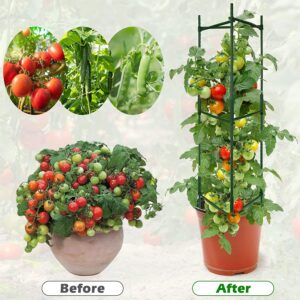 LOMNYIY Tomato Cage - Premium Tomatoes Plant Stakes Support Cages Trellis for Garden and Pots ，Multi-Functional Climbing VegetablesCages Trellis(51 inches，3 Pack) (Tomato Cage 3 Pack)