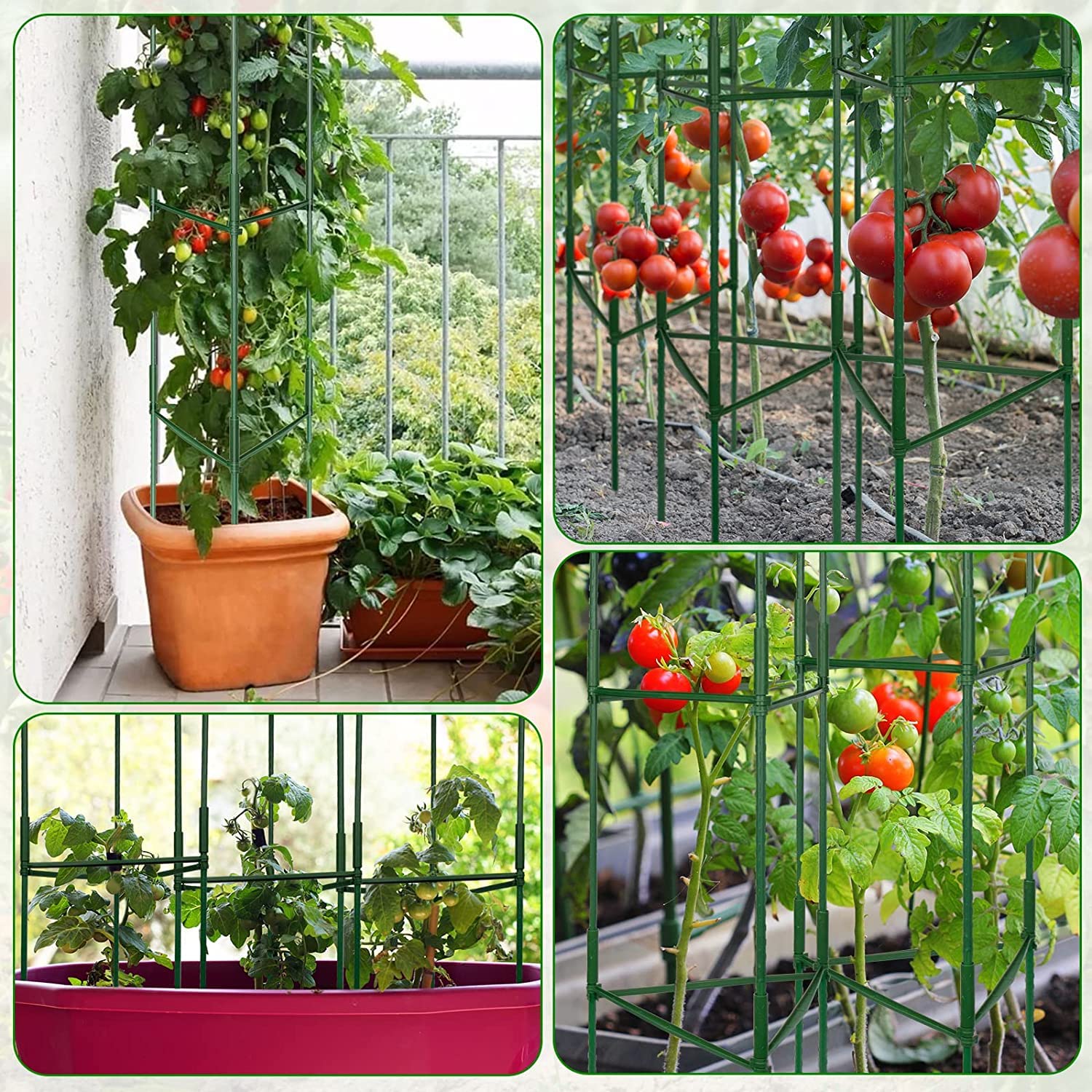 LOMNYIY Tomato Cage - Premium Tomatoes Plant Stakes Support Cages Trellis for Garden and Pots ，Multi-Functional Climbing VegetablesCages Trellis(51 inches，3 Pack) (Tomato Cage 3 Pack)