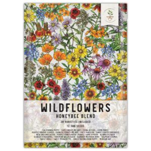 seed needs, bulk 12,500 seeds honey bee wildflower blend/mixture (20 species) heirloom & open pollinated, attracts pollinators