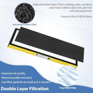 FLT4825 HEPA Filter B Replacement for Germ-Guardian Filter B, Compatible with 22" Air Pu-rifier AC4825E AC4825 AC4300 AC4900CA AP2200CA AP2800CA, 2 HEPA and 8 Pre-Filter