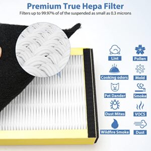 FLT4825 HEPA Filter B Replacement for Germ-Guardian Filter B, Compatible with 22" Air Pu-rifier AC4825E AC4825 AC4300 AC4900CA AP2200CA AP2800CA, 2 HEPA and 8 Pre-Filter