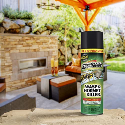 Spectracide Wasp & Hornet 3, 12 Pack, 18.5 Oz Insect Killer