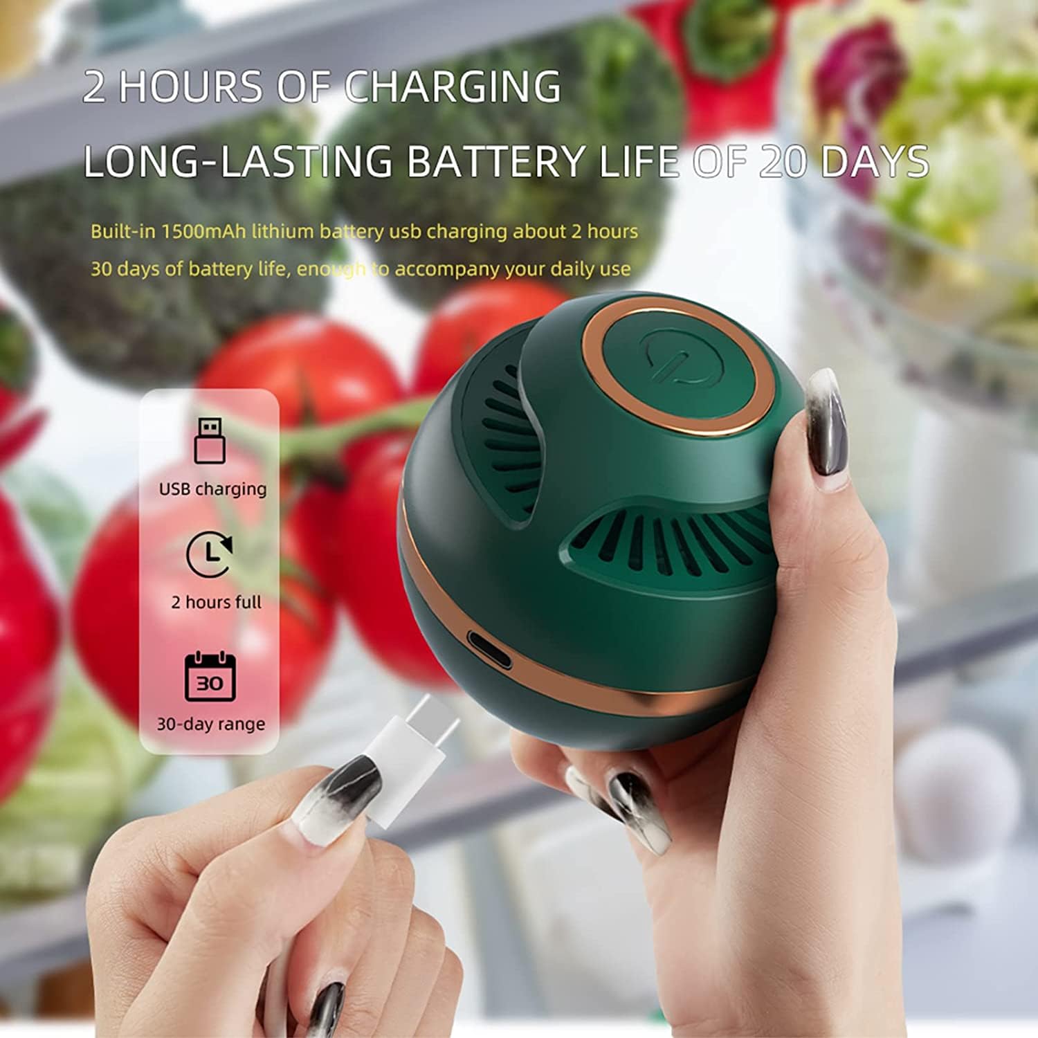 Fridge Deodorizer, Mini USB Refrigerator Deodorizer,Refrigerator Odor Eliminator, Beats Baking Soda and Bamboo Charcoal Air Purifying Bags for Car,Closet,Shoes Cabinet,Fridge and Freezer