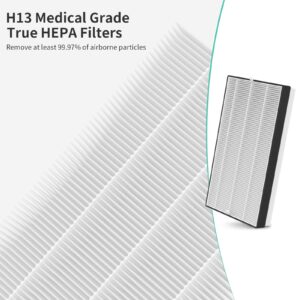 4 Packs F1 True HEPA Repalcement Filters Compatible with 3M Filtrete C01 T02 Series FAP-C01-F1,FAP-T02-F1, FAP-C01BA-G1 and FAP-T02WA-G1 Air Puri Fier