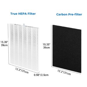 TOMORAL D360 Replacement Filter D3 Compatible with Winix D360 Air Purifier, Part Number 1712-0101-02, 2 True HEPA(H13) Filter & 8 Activated Carbon Filters