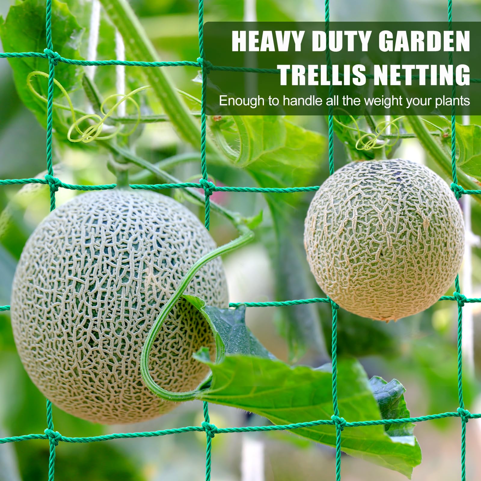 Trellis Netting, Heavy Duty Garden Trellis Netting for Climbing Plants Outdoor, 6.6x9.85Ft Plant Netting for Cucumber, Tomato, 27 Strands & 4x4 IN Mesh, Grow Net for Fruits, Vegetables,Grapes,Bean,Pea