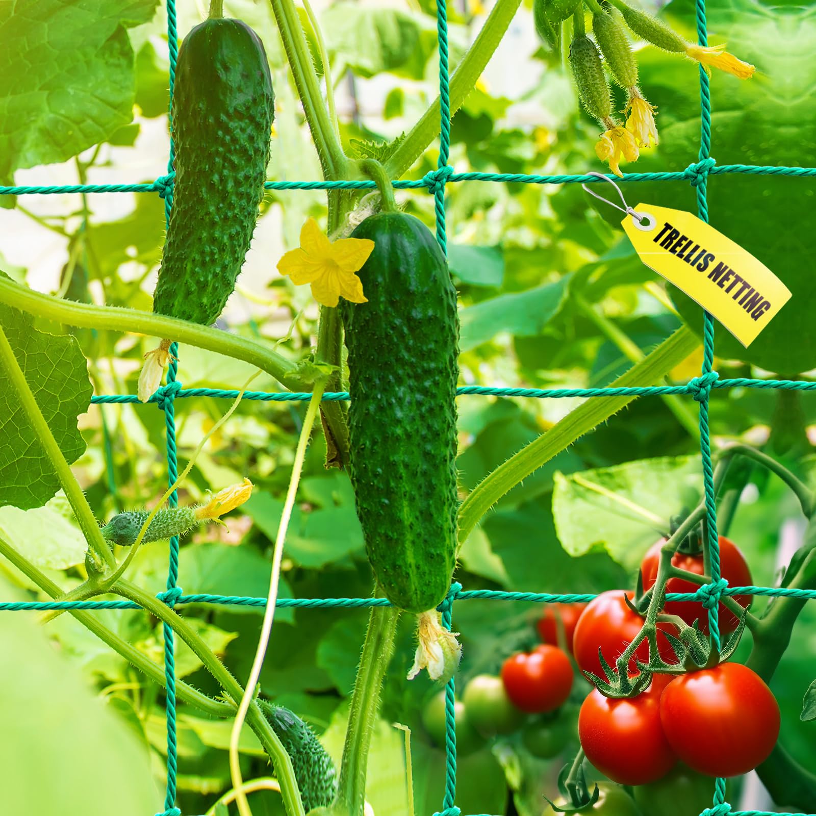 Trellis Netting, Heavy Duty Garden Trellis Netting for Climbing Plants Outdoor, 6.6x9.85Ft Plant Netting for Cucumber, Tomato, 27 Strands & 4x4 IN Mesh, Grow Net for Fruits, Vegetables,Grapes,Bean,Pea