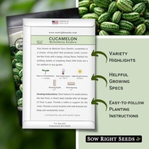 Sow Right Seeds - Cucamelon Seeds for Planting - Non-GMO Heirloom Packet with Instructions to Plant an Outdoor Home Vegetable Garden - Mini Bitter Mouse Melon, Mexican Sour Gherkin - Rare Variety (1)