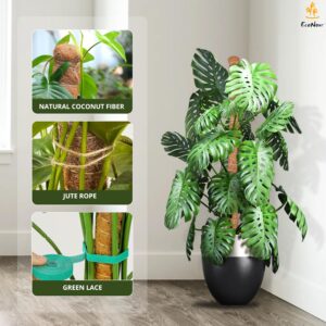 EcoNour Moss Pole for Plants - 28 Inches (2 Pack) | Monstera Plant Support for Vertical Growth | Indoor Climbing Plant Support for Potted Plants Like Pothos, Philodendrons, and More