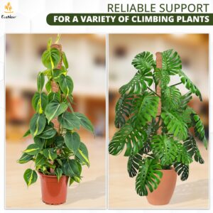 EcoNour Moss Pole for Plants - 28 Inches (2 Pack) | Monstera Plant Support for Vertical Growth | Indoor Climbing Plant Support for Potted Plants Like Pothos, Philodendrons, and More