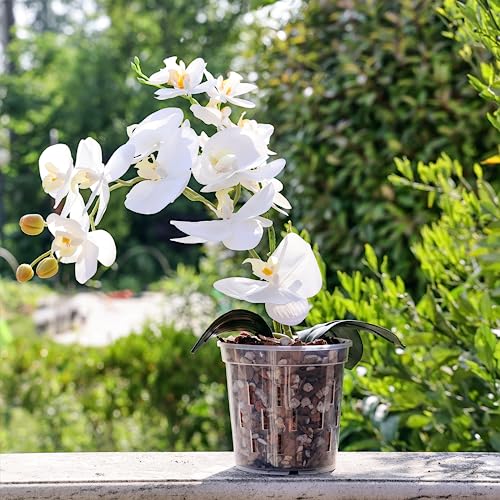 TRUEDAYS 4 Pack Orchid Pot 5 Inch Clear Plastic Plant Pots with Drainage Holes for Indoor Outdoor Plants