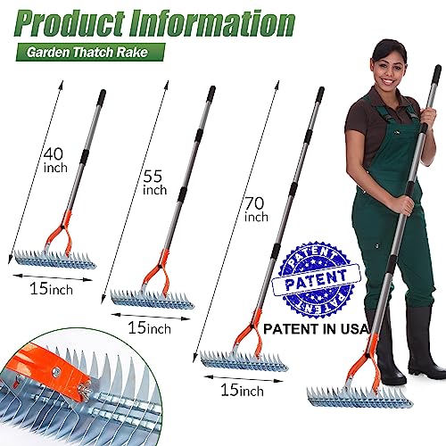 Walensee Thatch Rake, 15-Inch Lawn Thatching Rake, Robust Dethatcher Rake, Efficient Steel Metal Rake with Handle, Versatile Grass Grooming Rake for Cleaning Dead Grass, Yard Garden Durable Soil Rake