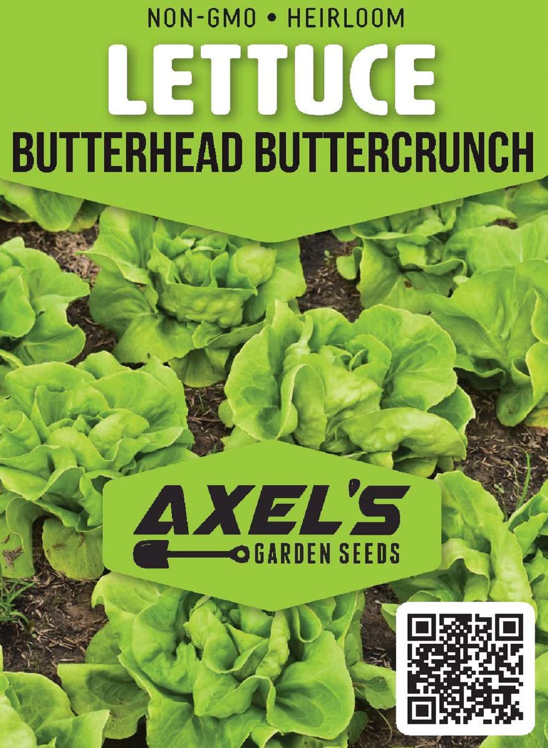 Lettuce Seeds for Planting - Plant & Grow Buttercrunch Lettuce Indoor/Outdoor Hydroponic Home Vegetable Gardens - 500 Heirloom Non GMO Seeds per Packet with Instructions, 1 Packet