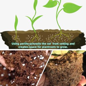 3 Quarts Perlite for Plant Soil - Amendment for Potting Soil, Improves Drainage and Aeration for Soil,Better for Root Growth…