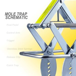 Mole Trap Scissor 2 Pack, Upgraded Mole Traps for Lawns That Kill Best, Galvanized Steel Mole Killer, Easy Step Setup