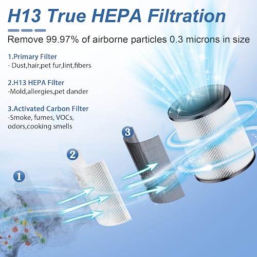 2 Pack TPLMB P60 Air Purifier Replacement Filters,Three-in-One Nylon Pre-Filter,True HEPA Filter,High-Efficiency Carbon Filter,P60-RF,White,Pack of 2.