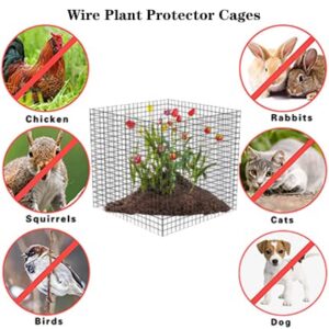 Small Wire Plant Protectors, 6 Pack Square Plant Protectors from Animals Mesh Plant Cage Chicken Wire Cover for Protect Plants, Garden,Shrubs and Vegetables from Animals(12x12 in)