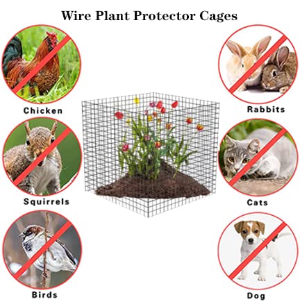 Small Wire Plant Protectors, 6 Pack Square Plant Protectors from Animals Mesh Plant Cage Chicken Wire Cover for Protect Plants, Garden,Shrubs and Vegetables from Animals(12x12 in)