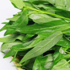 1200+ Kong Xin CAI Vegetable Seeds Water Spinach Kangkong Delicious Vegetable Seeds for Green Leaf Planting Garden Non-GMO Choy Ong Seed